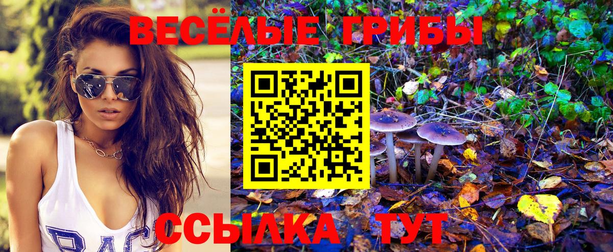 Псилоцибиновые грибы Psilocybine cubensis  Вход с VPN  Тольятти 